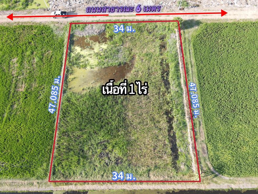 ขายที่ดินลำลูกกาเนื้อที่ 1 ไร่ คลอง8 ใกล้ถนนเส้น3006-2กม. จ.ปทุมธานี 6