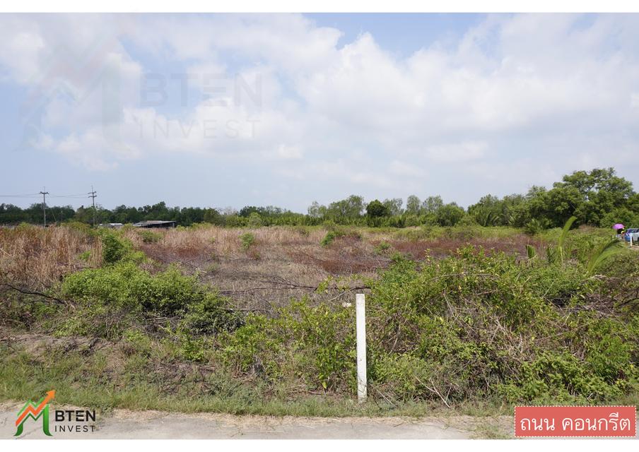 ที่ดินขายด่วน ยกแปลง ทำเลทอง 8 ไร่ 3งาน 70 ตรว 3