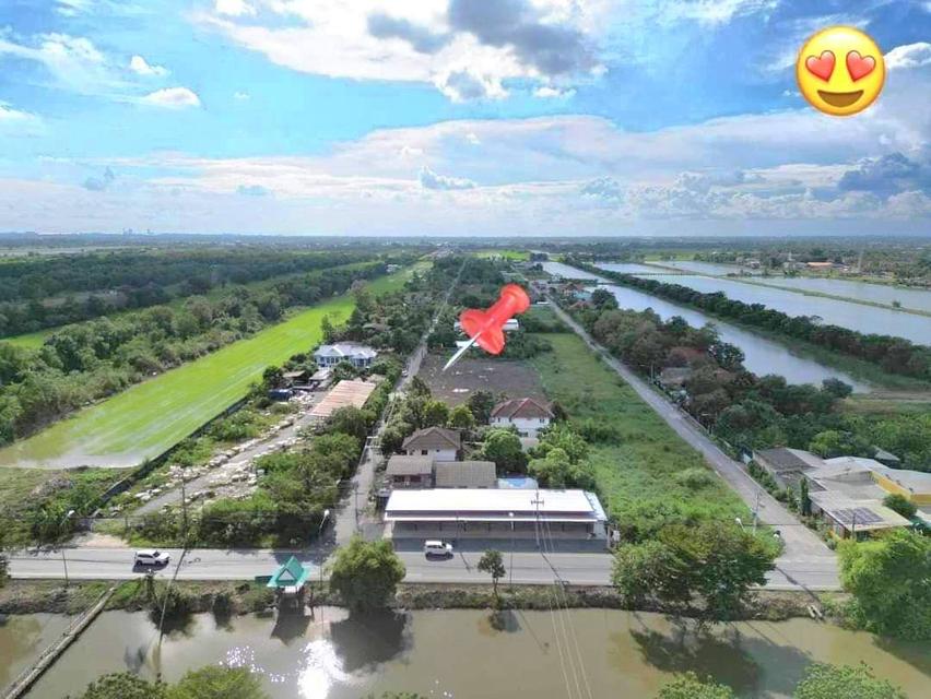 ที่ดินคลอง6 ปรับลดราคา น้ำไฟครบ ติดถนนลาดยาง ถมแล้ว 98 ตร.ว 2
