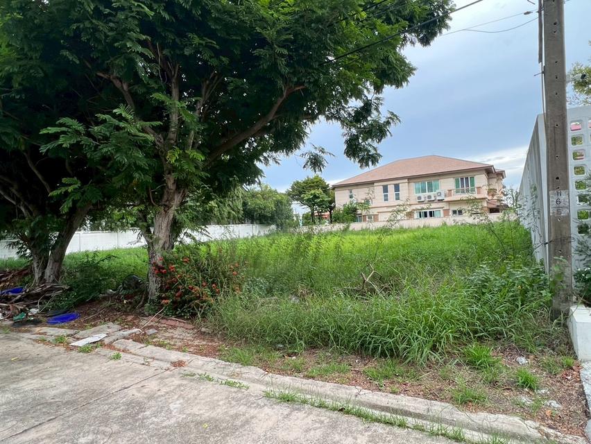 ขายที่ดินเปล่าถมแล้ว หมู่บ้านกรีนวัลเล่ย์ บางนา-ตราด กม.15 แปลงสวย ทำเลดี พร้อมสร้างบ้าน 7