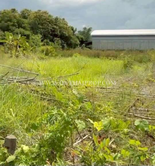 ที่ดิน ใกล้ถนนพิษณุโลก-หล่มสัก อ.วังทอง จ.พิษณุโลก 9