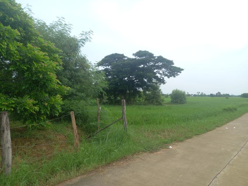 ที่ดิน 3