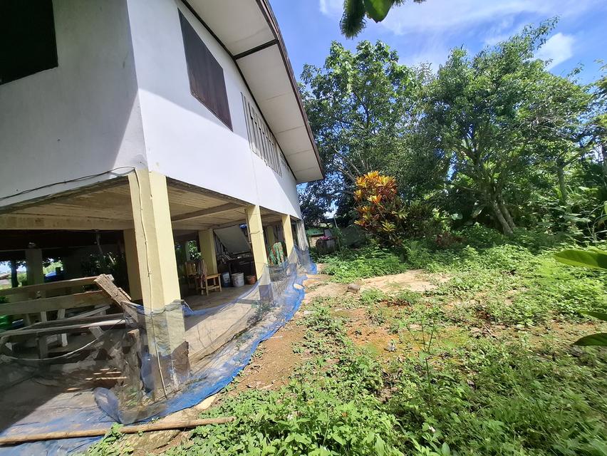 ขายบ้านพร้อมที่ดินฉโหนดพร้อมโอน 4