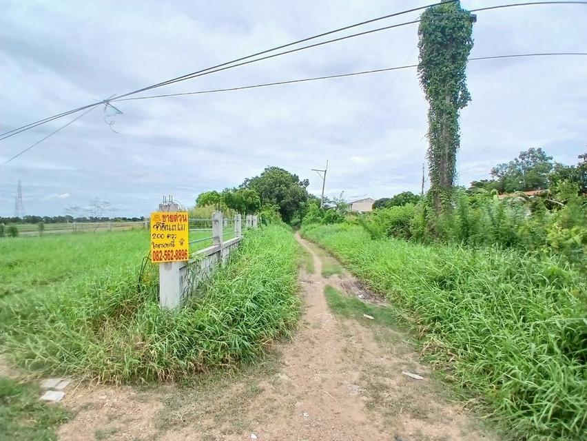 ขายที่ดิน ซอยวัดศรีประชาธรรม(วัดใหม่บัวชม) วังน้อย 2