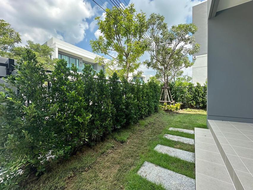 ให้เช่า บ้านเดี่ยว 2 ชั้น 3 ห้องนอน Centro บางนา โครงการใหม่ทำเลดีมาก 16