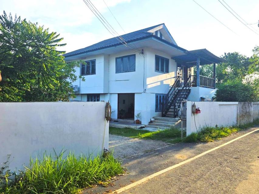 ขายพร้อมผู้เช่า บ้านเดี่ยว 2 ชั้น วิวรีสอร์ต ท่ามกลางธรรมชาติ ต.ป่าแดด จ.เชียงใหม่ (รับนายหน้า3%) 2
