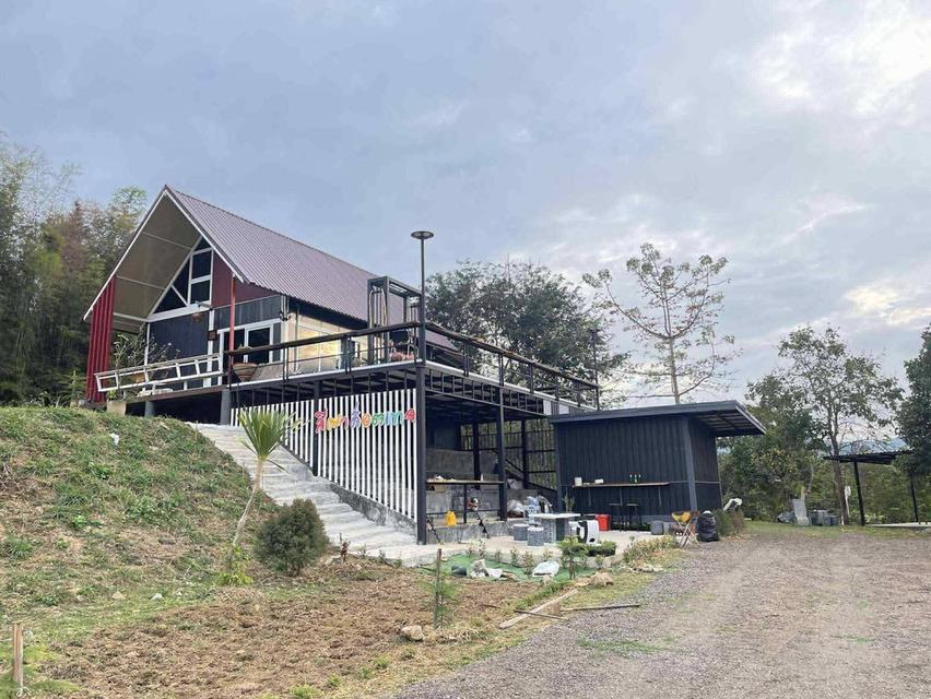 ขายบ้าพร้อมที่ดินอ4ไร่อำเภอวังน้ำเขียวจังหวัดนครราชสีมา 1