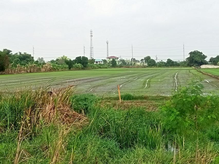 ขายที่ดิน ใกล้สถานีรถไฟฟ้าคลองหนึ่ง สายสีแดงเข้ม ทีมีโครงการที่จะสร้าง 2