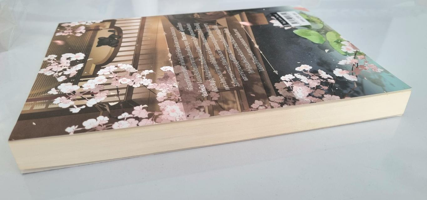 อย่าได้คิดมารังแกหวางเย่ของข้า 3