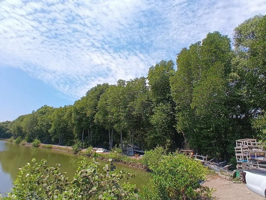 ขายที่ดิน 4 ไร่ 29 ตารางวา ซอยเทศบาลคลองด่าน 8/5 ตำบลคลองด่าน อำเภอบางบ่อ จังหวัดสมุทรปราการ 5