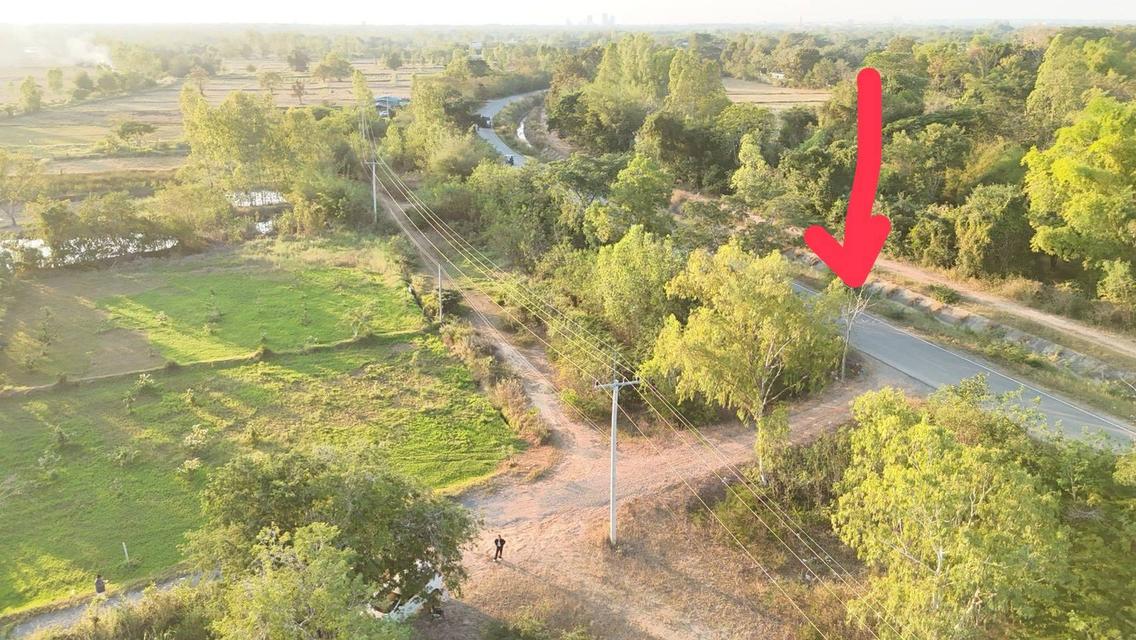 ขายที่ดินสวย เนื่อที่ 14ไร่ 3งาน22ตารางวาอ.เมือง จ.ขอนแก่น 3