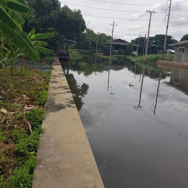 ที่ดินสวยริมน้ำ 226 ตรว. ทำเขื่อนกันดินแล้ว หลวงแพ่ง ลาดกระบัง 6