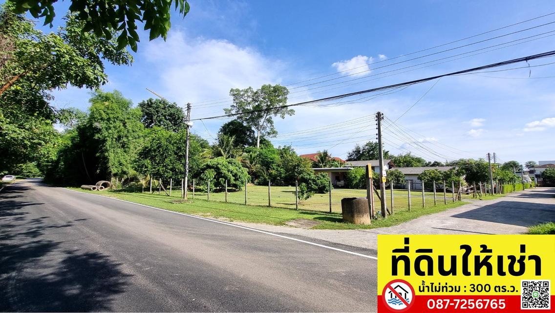 ปล่อยเช่าที่ดินทำเลทอง 300 ตร.ว. เมืองเชียงใหม่