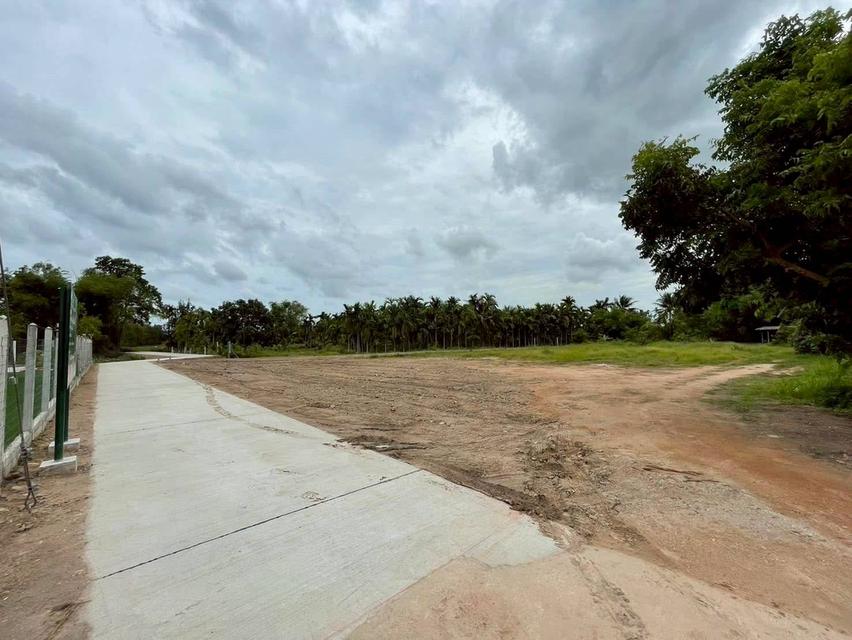 ขายที่ดินตาขัน 1 ไร่ ถมแล้ว ใกล้ตลาดสดบ้านค่าย9กม. ใกล้ถนนเส้นเชิงเนิน-ชากบก1.6กม. อ.บ้านค่าย ระยอง 1