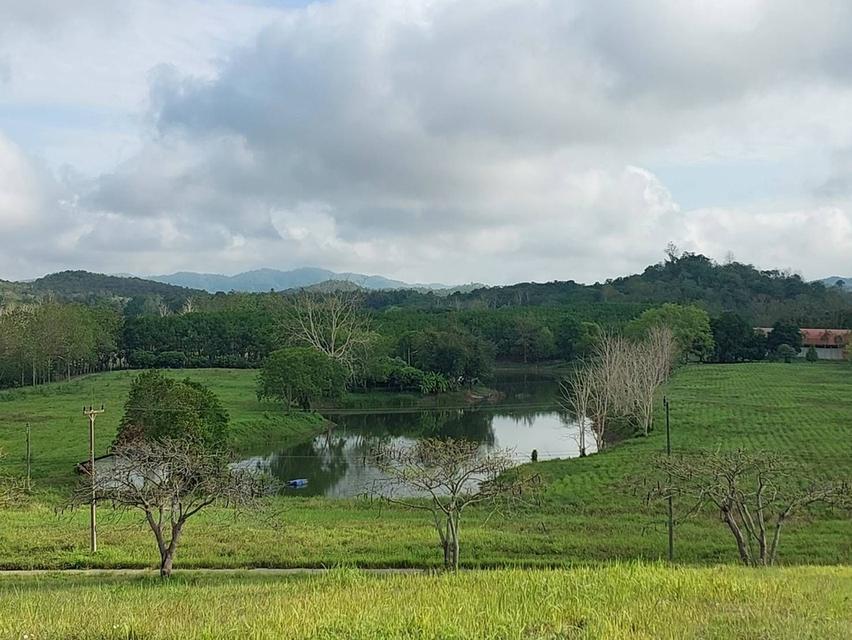 ขาย/ให้เช่าที่ดินเชียงราย 6