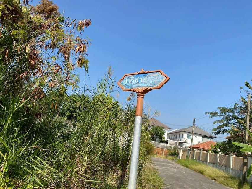 ขายต่ำกว่าประเมิน ที่ดินหมู่บ้านปาริชาต 76 ตรว ถมแล้วทั้งแปลง โซน A62/1 ถนน 345 อ.เมืองปทุมธานี จ.ปทุมธานี 1