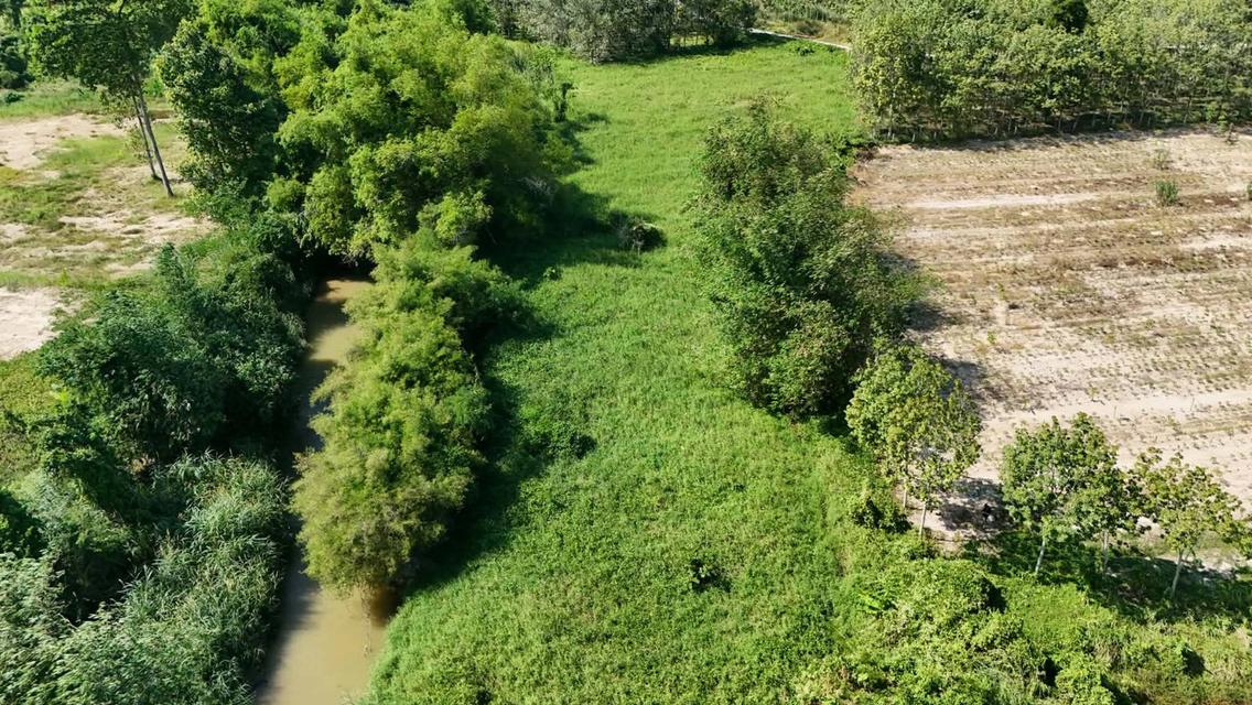 ขายที่ดินเปล่า 4-2-50 ไร่ ทำเลศักยภาพ ติดคลองกระเฉท น้ำไหลตลอดปี ใกล้นิคมอุตสาหกรรม ต.มาบข่า ระยอง 9