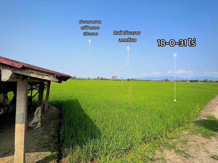 ขายที่ดินเปล่า ผังสีชมพู พื้นที่ 18 ไร่เศษ ต.ริมกก อ.เมือง จ.เชียงราย 5