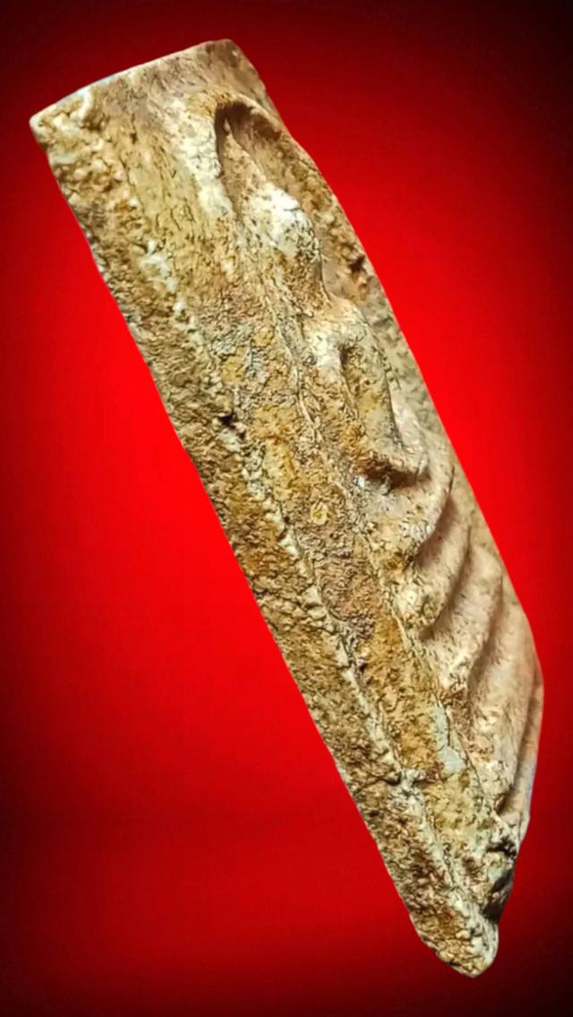 พระสมเด็จวัดบางขุนพรหมพิมพ์ใหญ่