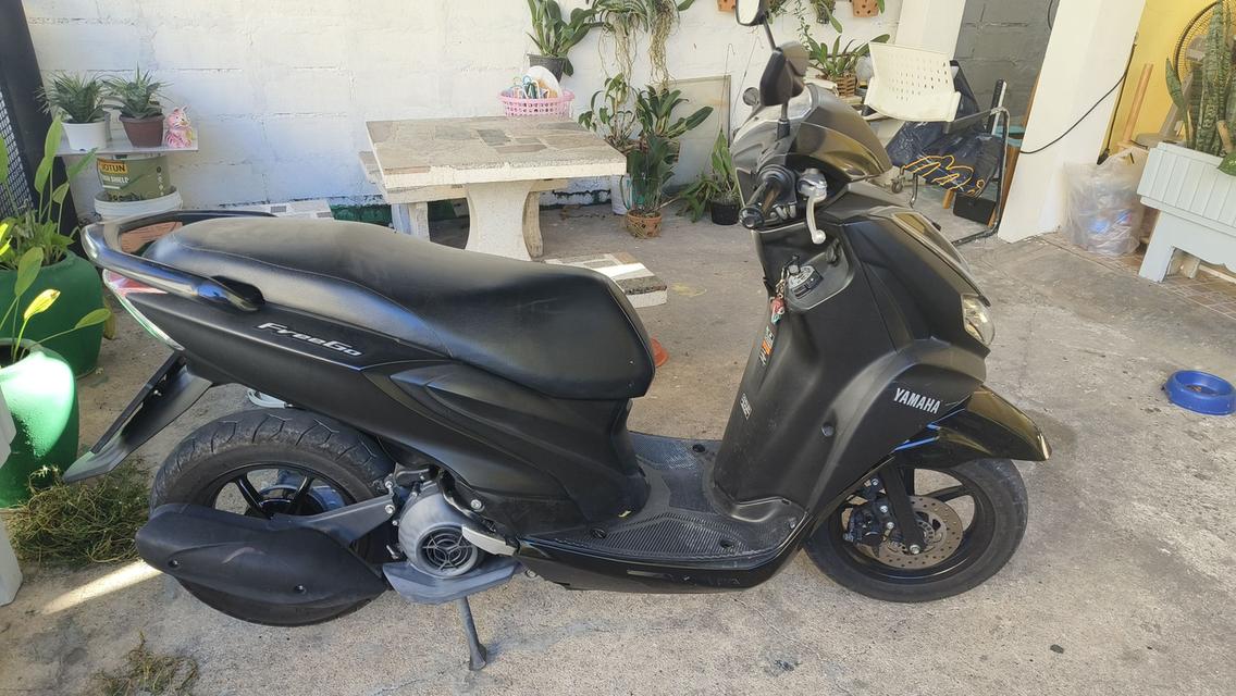 Yamaha Freego 2019 2