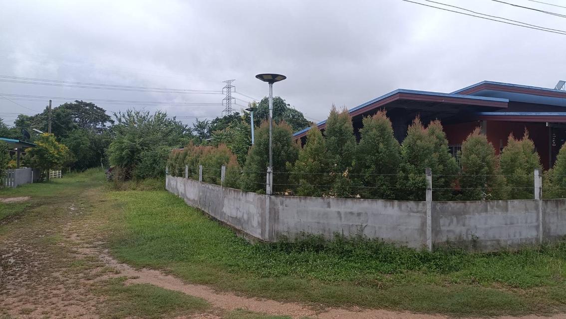 บ้านพร้อมที่ดินนครปฐม 1