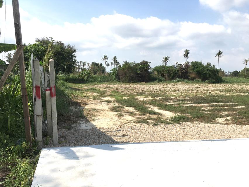 ขายที่ดินพื้นที่สีม่วง เนื้อที่ 6ไร่ 3งาน 95ตรว.ตำบลบึง ศรีราชา ชลบุรี ใกล้นิคมปิ่นทอง 1,2,3,4 ที่ดินเหมาะพัฒนาอุตสาหกรรม โกดัง-โรงงานผังเมือง EEC 3