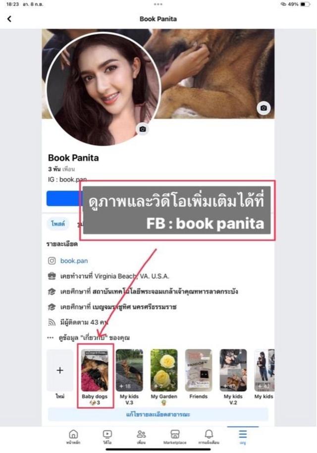 ลูกสุนัขเยอรมันเชพเพิร์ด (อัลเซเชี่ยน) เมีย1ตัว สุดท้าย!!! Line: bookpatsara 3