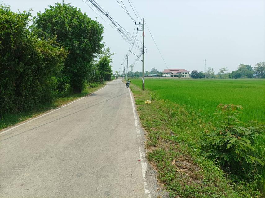 ขายที่ดิน ราคา8,000บาท/ตร.ว. ต.สง่าบ้าน อ.ดอยสะเก็ด จ.เชียงใหม่ 4