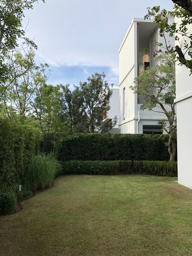 ให้เช่าบ้านสวย VIVE RAMA 9 Japandi House บ้านสวย ตรงปก ถูกหลักฮวงจุ้ย อยู่แล้วปัง รวย 18