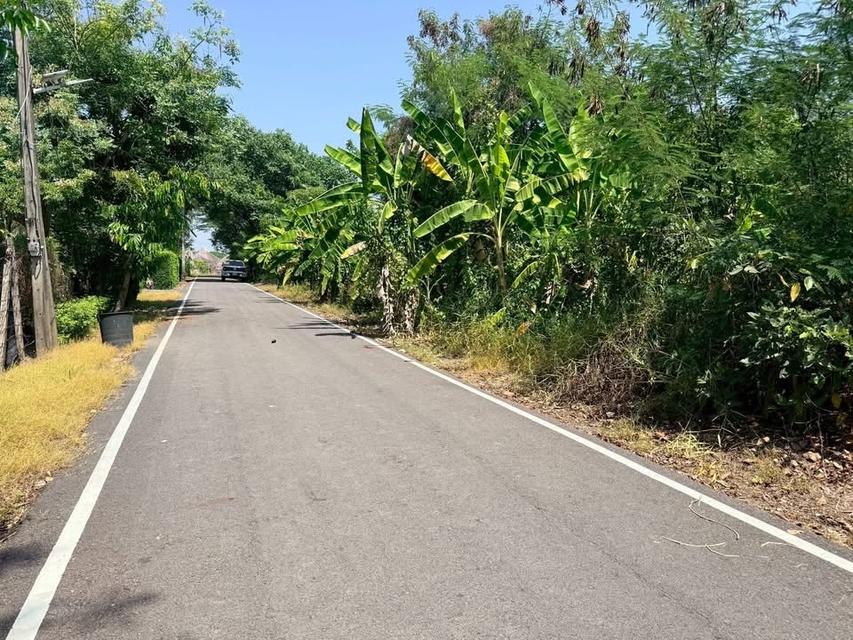 ขายด่วนทีดิน 200 ตารางวา ติดถนนลาดยาง 9 ต.บ้านใหม่ อ.บางใหญ่ จ.นนทบุรี 7