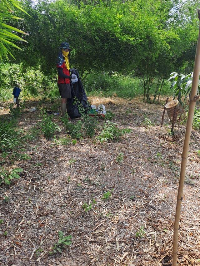 ขายที่ดินเปล่า 280 ตรว. หลังอนามัยคลองตาคล้าย บางบัวทอง นนทบุรี 2