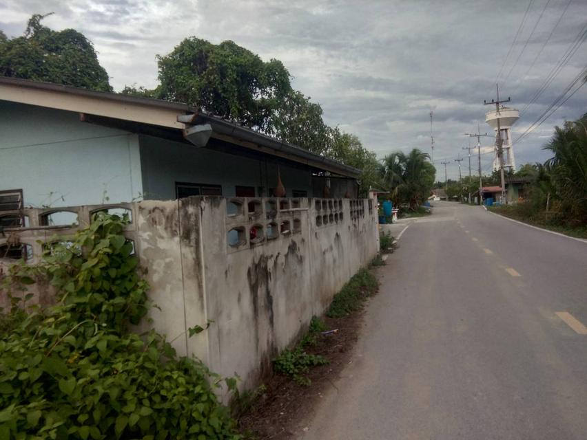 ขายที่ดินสมุทรสาคร อ.บ้านแพ้ว 2