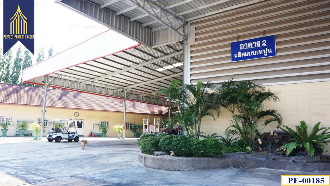ขายที่ดินพร้อมโรงงาน 130 ไร่ ปราจีนบุรี 3