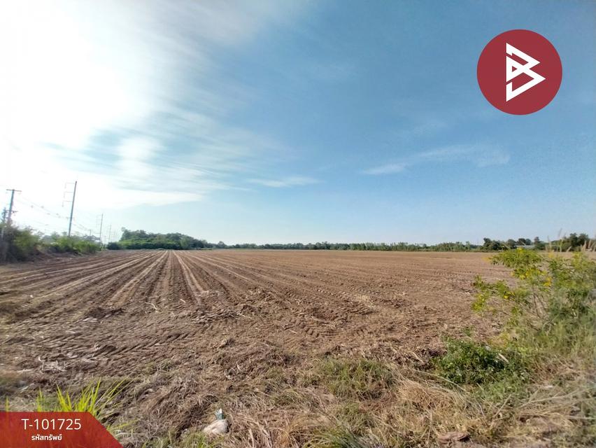 ขายที่ดิน เนื้อที่ 117ไร่ 1 งาน 64.0 ตารางวา อำเภอหนองเรือ ขอนแก่น 3