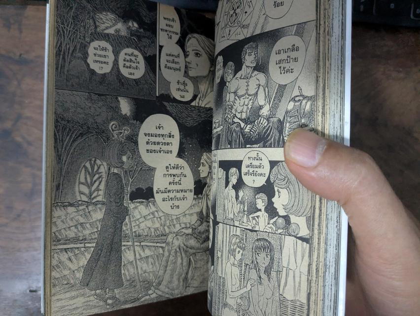 การ์ตูน Berserk เบอร์เซิร์ก เล่ม 1-37 รูปที่ 3