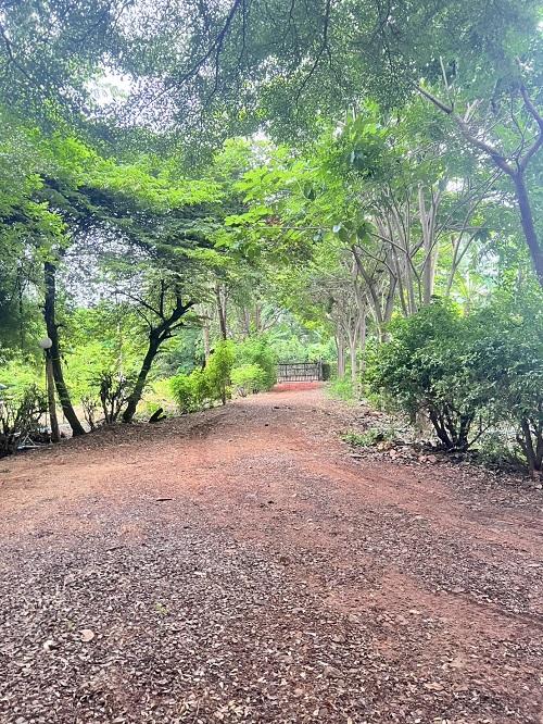 ขาย บ้านสวน บรรยากาศดี จังหวัดลพบุรี 8