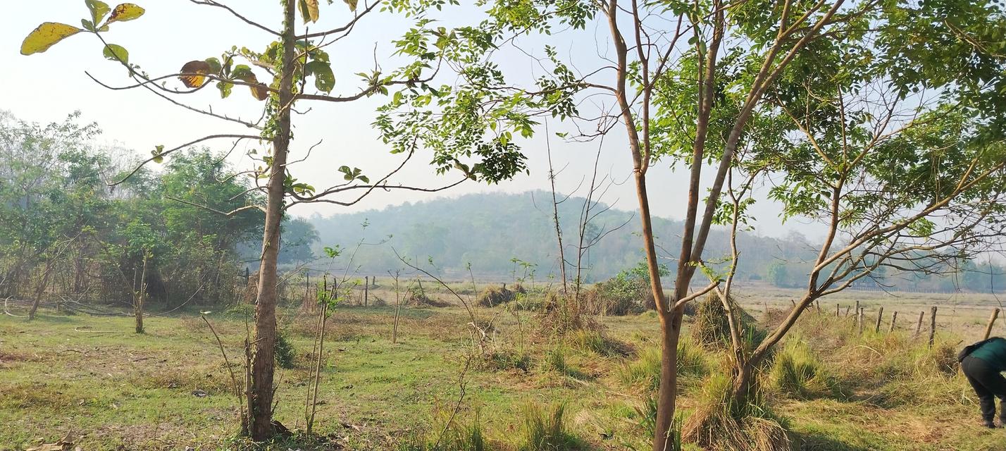 ที่โฉนดวิวเขา ห่าง อบต 1กิโล ที่หน้ากว้างติดถนน80เมตรวิวสวยมากใกล้ชุมชน 1