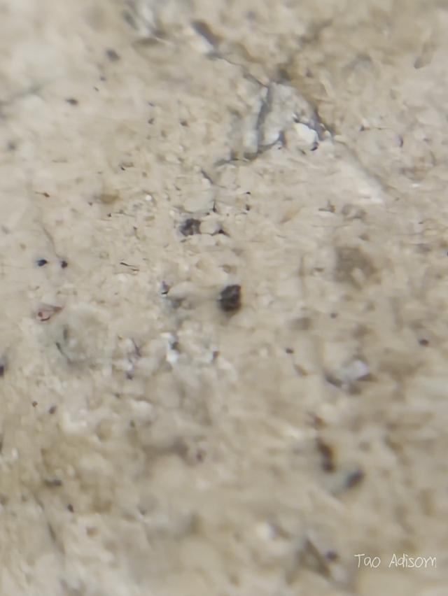 พระสมเด็จวัดระฆังโฆสิตาราม