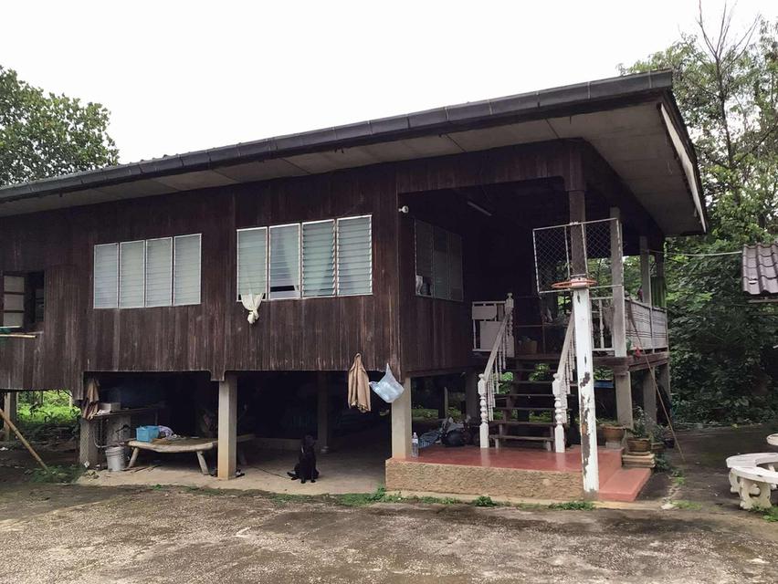 #ขายบ้านไม้ที่แม่เมาะลำปาง เป็นบ้านไม้ยกพื้นพร้อมห้องเก็บของ อยู่ในตัวอำเภอแม้เมาะ ติดถนนค้าขายได้ 1