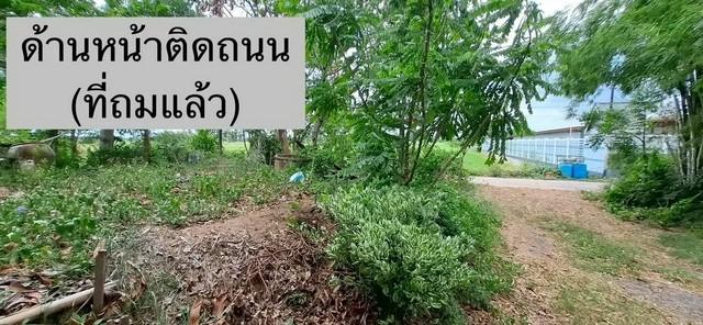 ขายบ้านสวนริมน้ำ จังหวัดพระนครศรีอยุธยา บ้านไม้เรือนไทย บนที่ดินแปลงสวย 315 ตารางวา ติดคลอง ใกล้แม่น้ำเจ้าพระยา 6