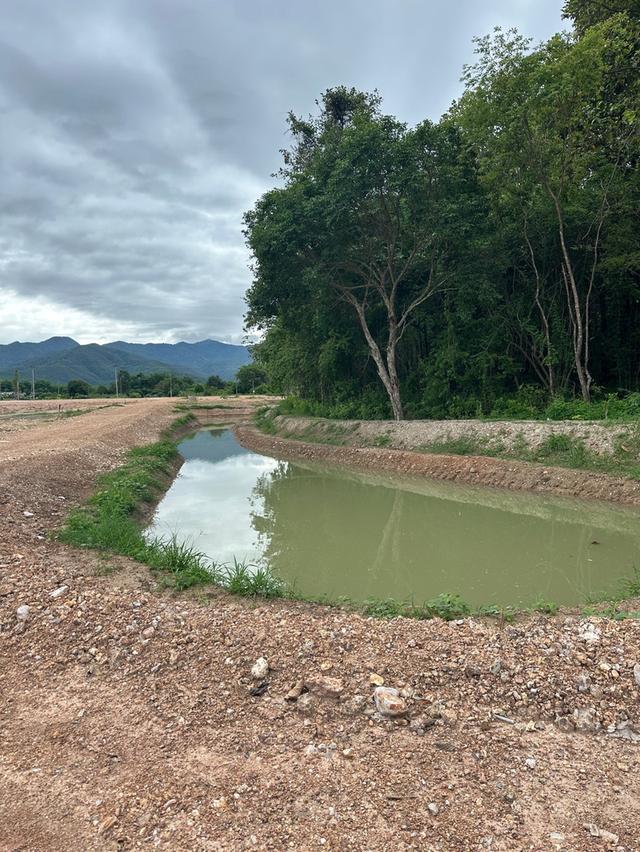 ขายด่วนที่ดิน ร่องส้าน ต.ร่มเย็น อ.เชียงคำ พื้นที่ 8 ไร่ 96 วา พร้อมสร้างบ้าน 4.8 ล้าน ✅ โฉนดครุฑแดง ✅ถมแล้ว แบ่งแล้ว ✅ติดถนน ทุกแปลง 5