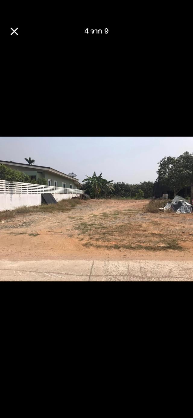 ที่ดินสวย พร้อมสร้างบ้าน จ.สุพรรณบุรี 3