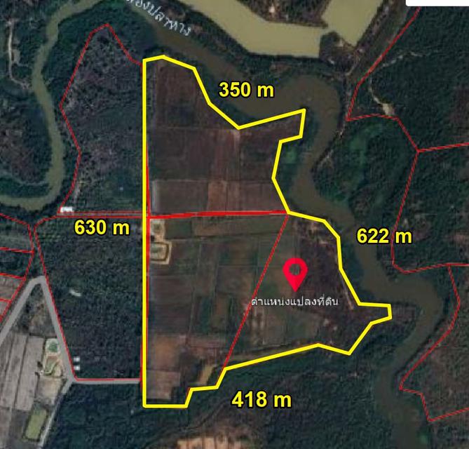 ขายที่ดินไฮหย่องพร้อมสิ่งปลูกสร้าง 98 ไร่ ติดคลอง ใกล้วัดหนองนกกด-2กม. อ.พังโคน จ.สกลนคร 6