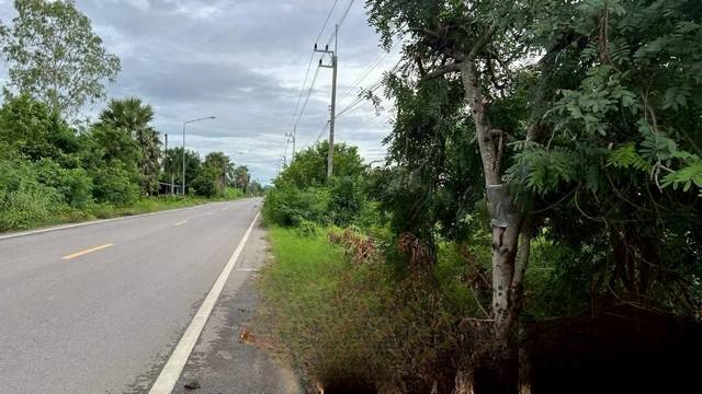 ขายที่ดิน 115 ตารางวา ถมแล้ว ติดถนนโยธาธิการ ตำบลหนองจอก อำเภอท่ายาง จังหวัดเพชรบุรี 2