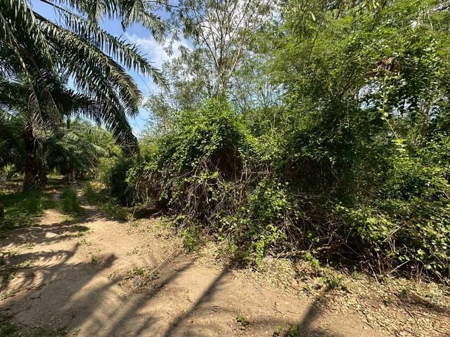 ขาย ที่ดิน สถานที่ใกล้ อุทยานแห่งชาติกุยบุรี ทะเลอ่าวประจวบ , อ่าวมะนาว 18,000,000 บาท 5