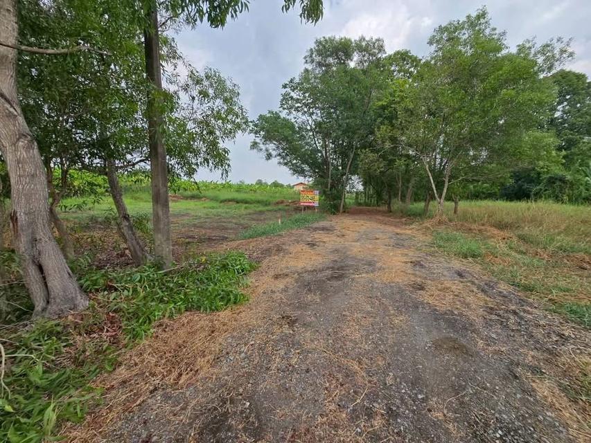 Vายที่ดินใกล้วัดพุทธวิชยาราม 50 ตารางวา ติดถนนสาธารณะ คลองหก ตต.25/1 อ.คลองหลวง จ.ปทุมธานี 2