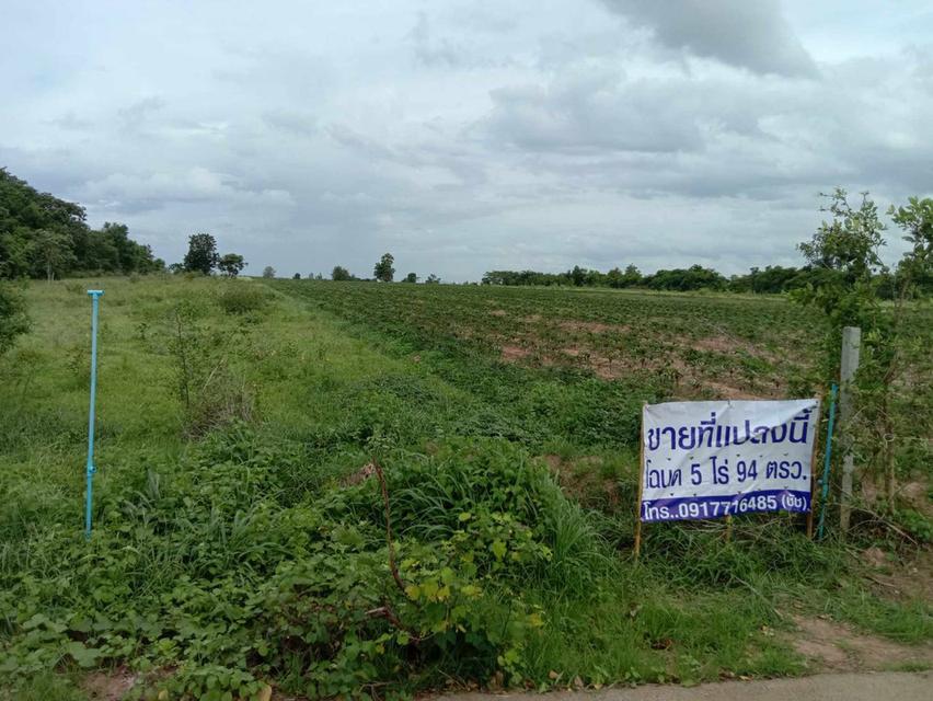 ขายที่โฉนด 5 ไร่ 94 ตรว. ห่างอำเภอเมืองกาญเพียง 20 กม. โทร. 0917716485 1