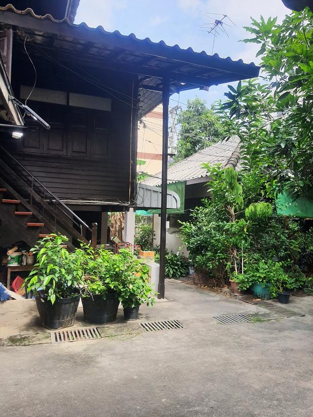 ขายที่ดินพร้อมสิ่งปลูกสร้าง 236 ตรว ทำเลดีในคูเมือง เชียงใหม่ 1