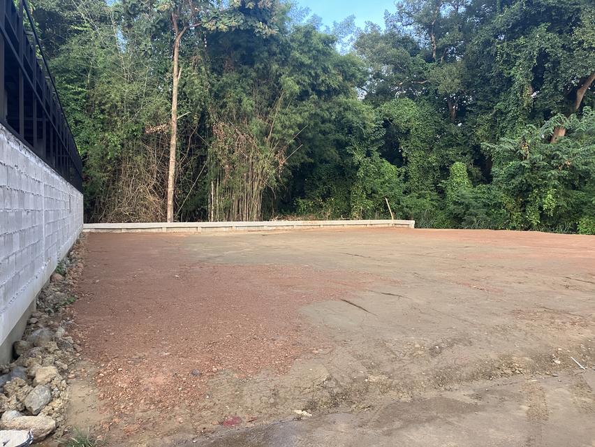 ที่ดินสำหรับสร้างบ้านหลังเกษียณในฝัน! ราคา 3 ล้านบาท (145 ตารางวา) ใกล้เมืองเชียงใหม่เพียง 9 กม. 3