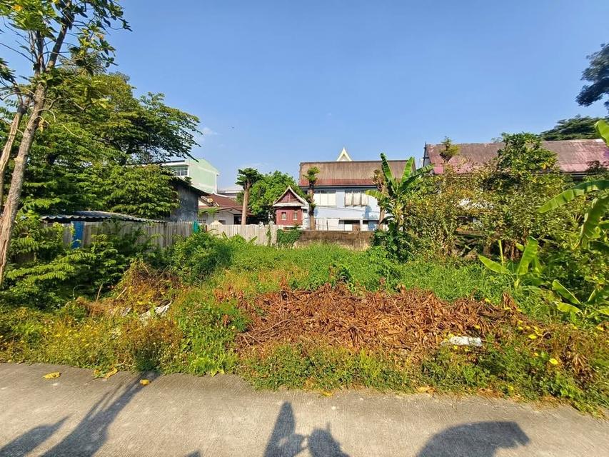 ขายถูก ที่ดินใกล้วัดบัว 50 ตารางวา ซอยสำเร็จพัฒนา 17 ปลายบาง บางกรวย นนทบุรี 4